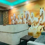 The Grace B&B Igi Airport Delhi